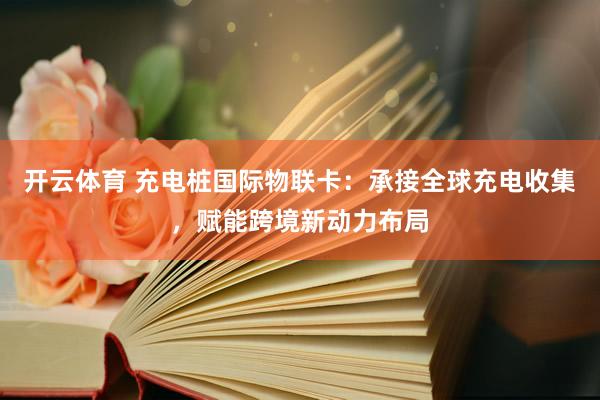开云体育 充电桩国际物联卡：承接全球充电收集，赋能跨境新动力布局