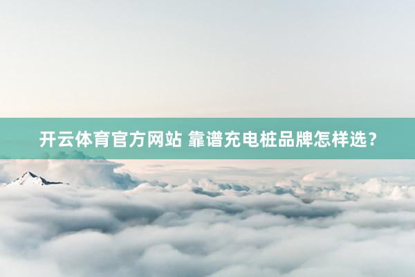 开云体育官方网站 靠谱充电桩品牌怎样选？