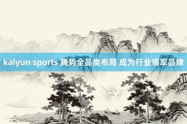 kaiyun sports 腾势全品类布局 成为行业领军品牌