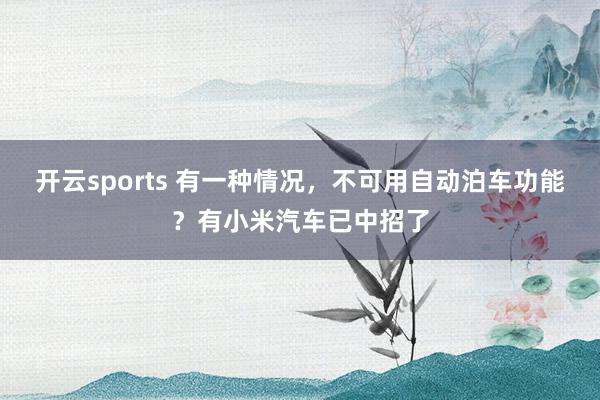 开云sports 有一种情况，不可用自动泊车功能？有小米汽车已中招了