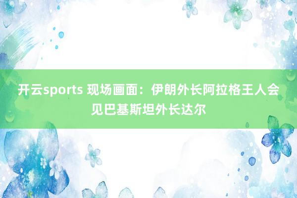 开云sports 现场画面：伊朗外长阿拉格王人会见巴基斯坦外长达尔