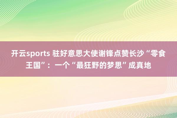 开云sports 驻好意思大使谢锋点赞长沙“零食王国”：一个“最狂野的梦思”成真地
