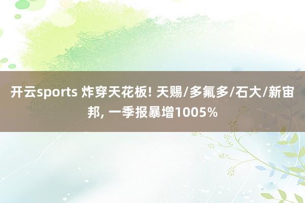 开云sports 炸穿天花板! 天赐/多氟多/石大/新宙邦， 一季报暴增1005%