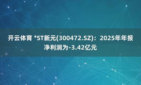 开云体育 *ST新元(300472.SZ)：2025年年报净利润为-3.42亿元