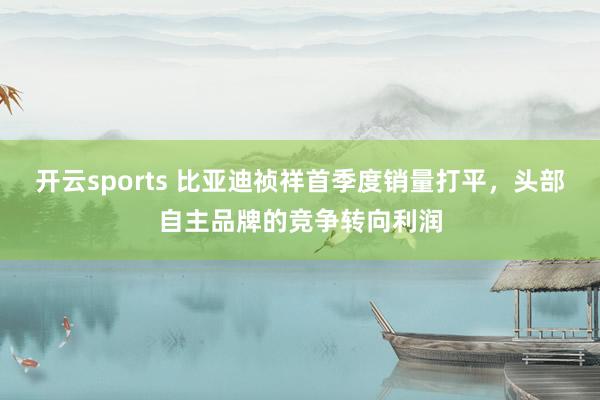开云sports 比亚迪祯祥首季度销量打平，头部自主品牌的竞争转向利润