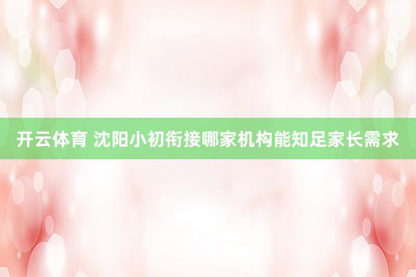 开云体育 沈阳小初衔接哪家机构能知足家长需求