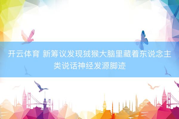 开云体育 新筹议发现狨猴大脑里藏着东说念主类说话神经发源脚迹
